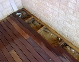 Termites, reference photo 6